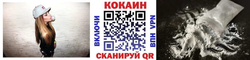 Купить закладки  Новоалександровск  Cocaine FishScale 