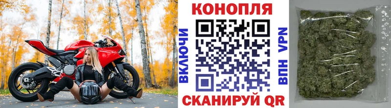 Купить  Новоалександровск  Бошки Шишки ГИДРОПОН 